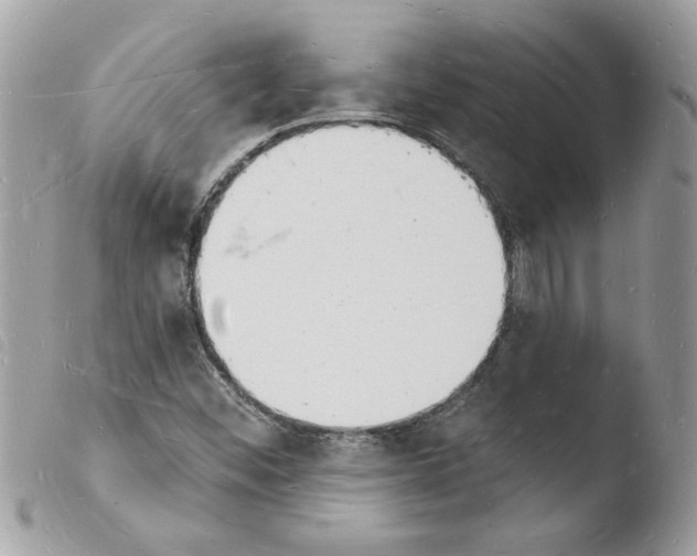 X0000103971452200810171913