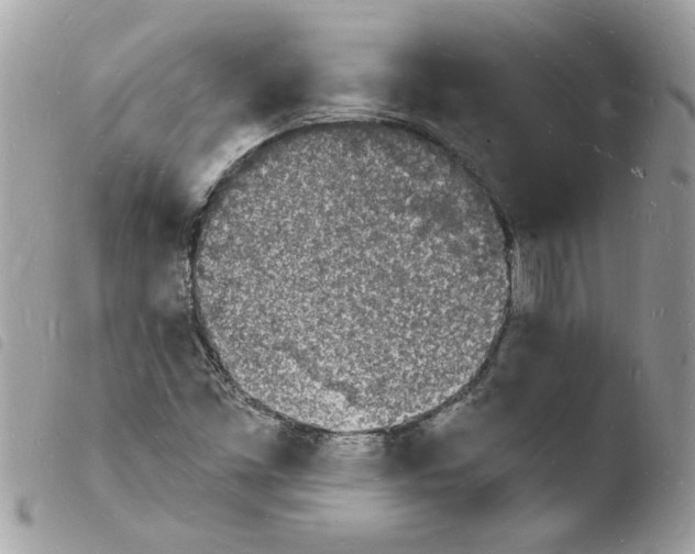 X0000103971453200810171913