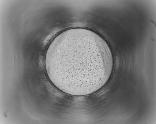 X0000103971454200810171913