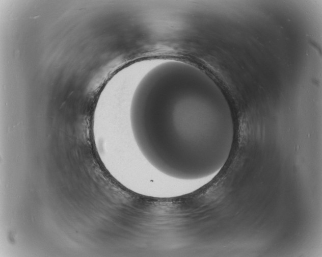 X0000103971455200810171913