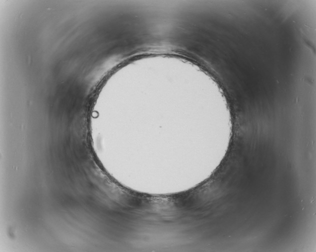 X0000103971456200810171913