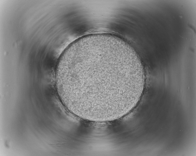 X0000103971457200810171913