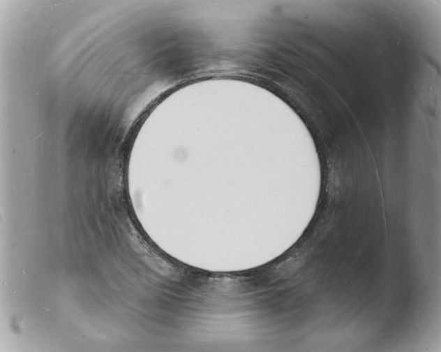 X0000103971458200810171913