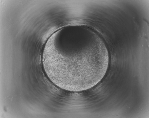 X0000103971459200810171913