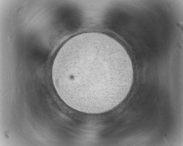 X0000103971461200810171913