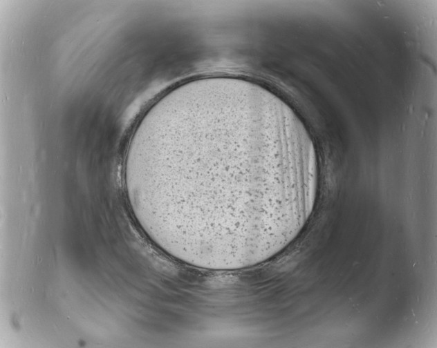 X0000103971462200810171913