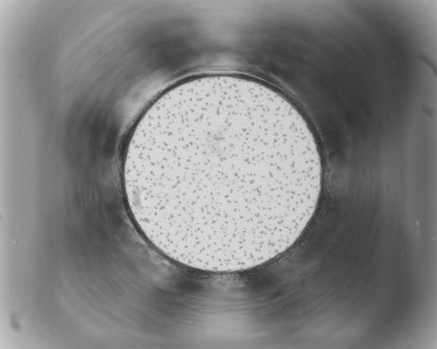 X0000103971464200810171913