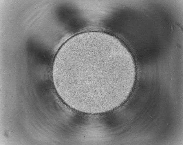 X0000103971465200810171913