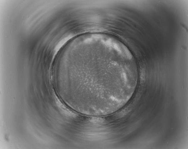 X0000103971466200810171913