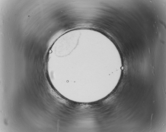 X0000103971467200810171913