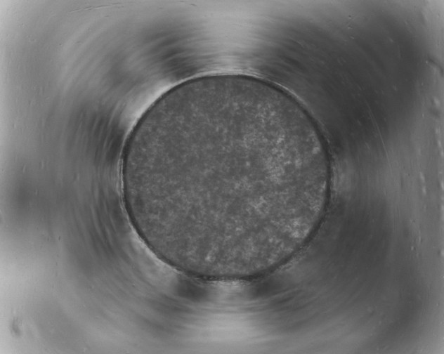 X0000103971468200810171913