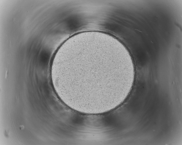 X0000103971469200810171913