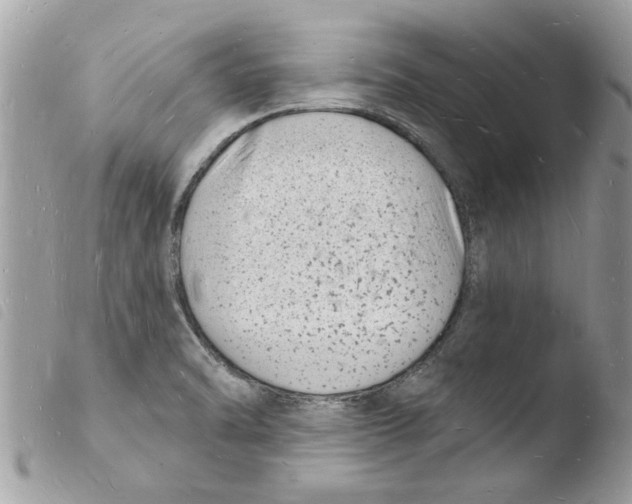 X0000103971470200810171913