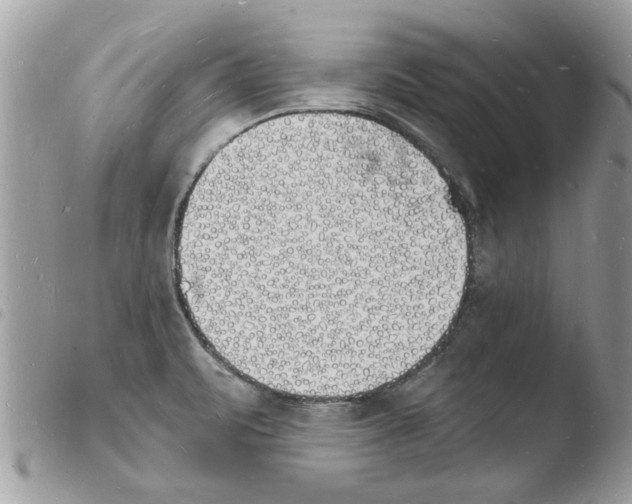 X0000103971471200810171913