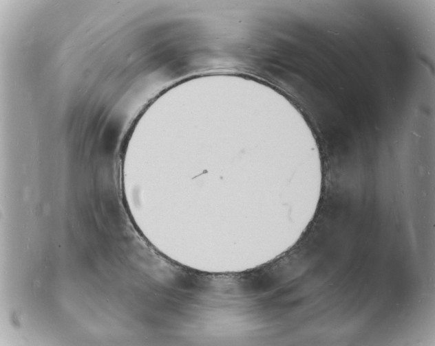 X0000103971472200810171913