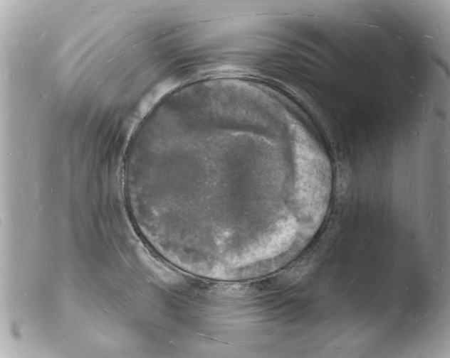 X0000103971474200810171913