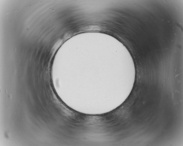 X0000103971475200810171913