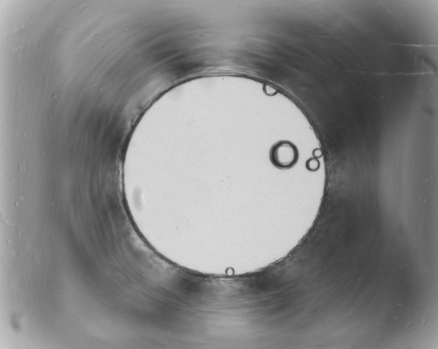 X0000103971476200810171913