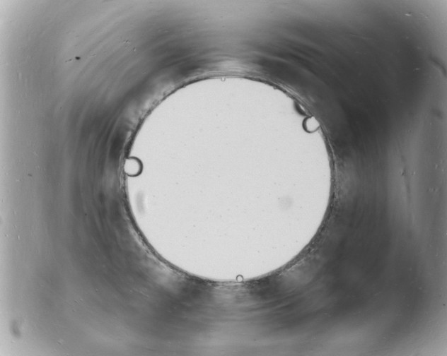 X0000103971477200810171913