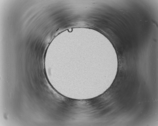 X0000103971479200810171913