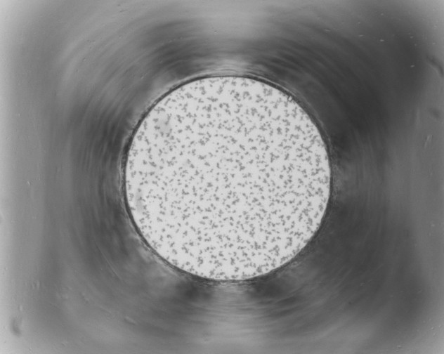 X0000103971480200810171913