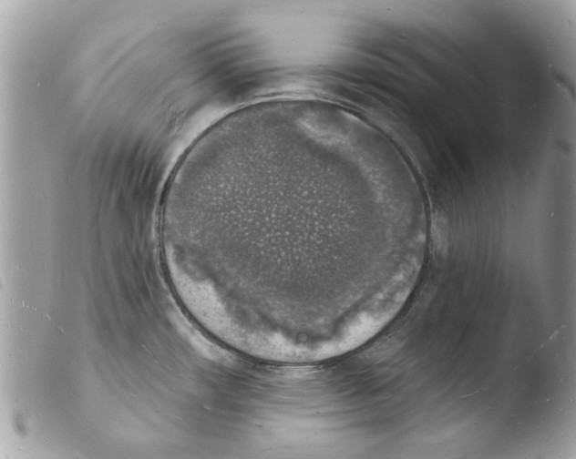 X0000103971482200810171913