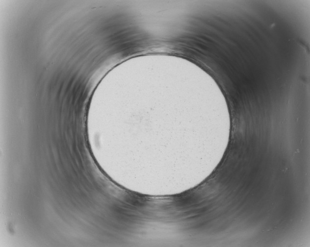 X0000103971483200810171913