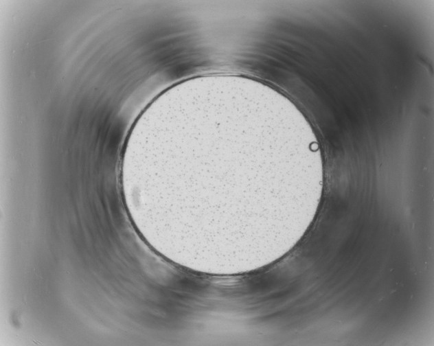 X0000103971484200810171913