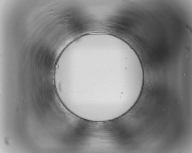 X0000103971485200810171913