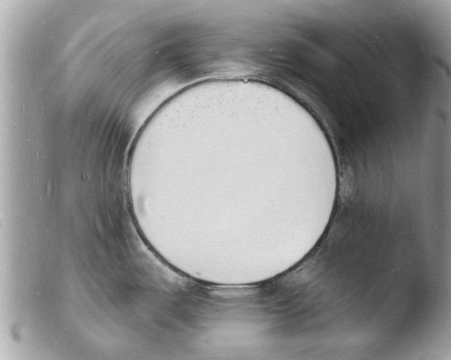 X0000103971487200810171913