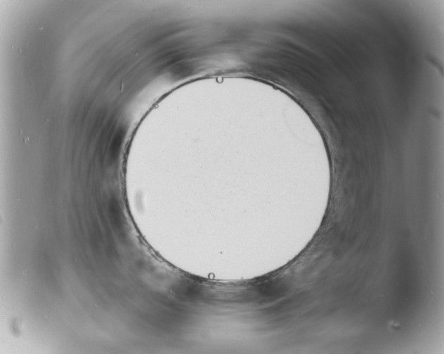 X0000103971488200810171913