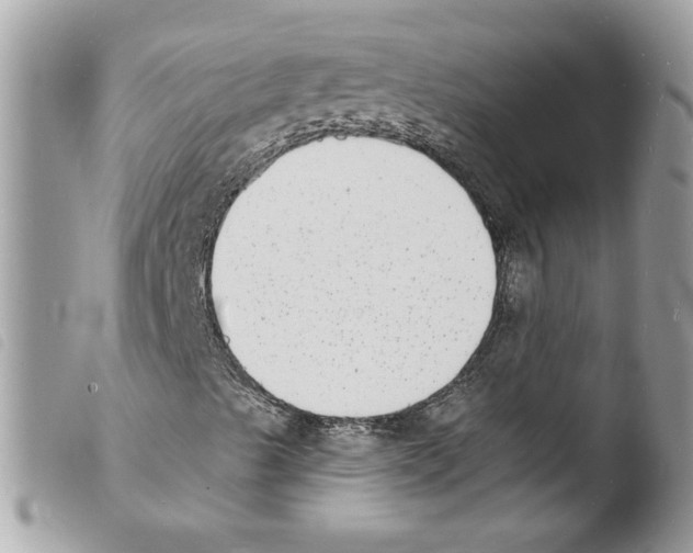 X0000103971489200810171912