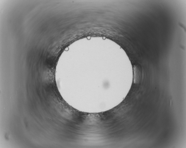 X0000103971491200810171912