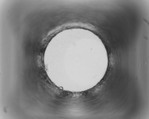 X0000103971494200810171912