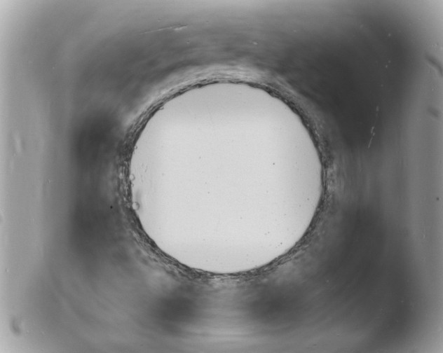 X0000103971496200810171912