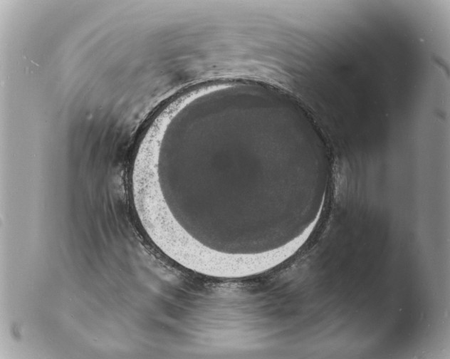 X0000103971497200810171912