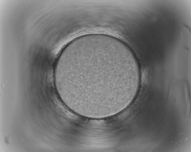 X0000103971498200810171912