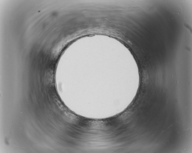 X0000103971499200810171912