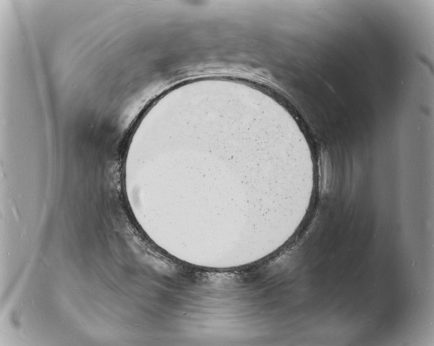 X0000103971501200810171912