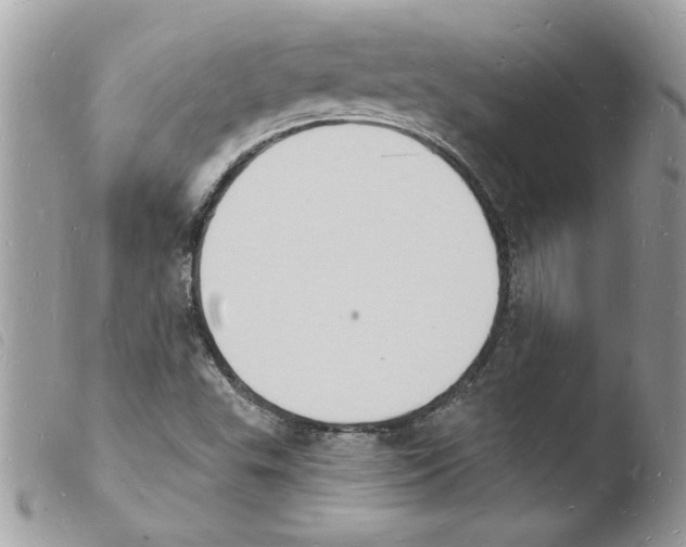 X0000103971503200810171913