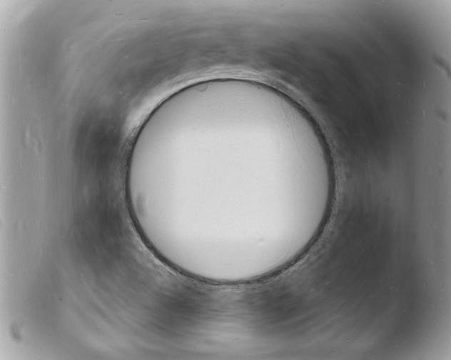 X0000103971504200810171913