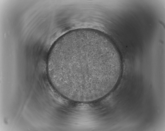 X0000103971505200810171913