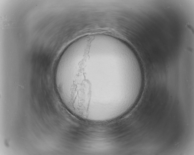 X0000103971506200810171913