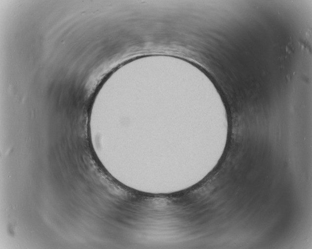 X0000103971507200810171913