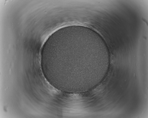 X0000103971508200810171913