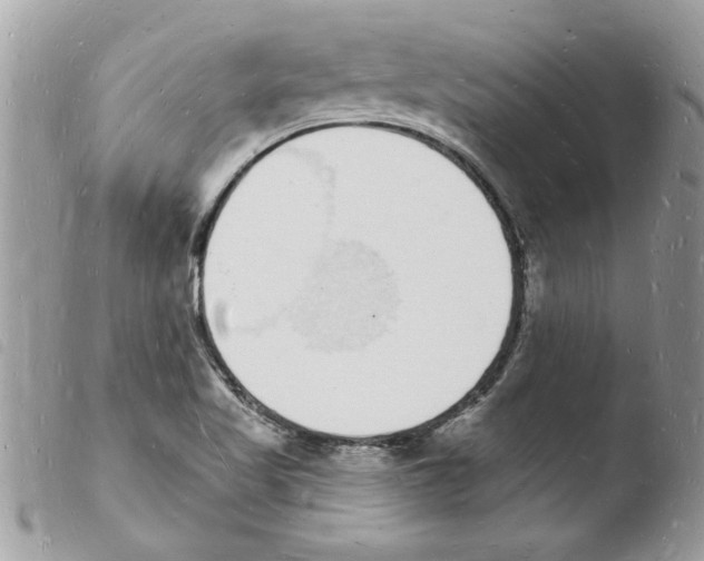 X0000103971509200810171913