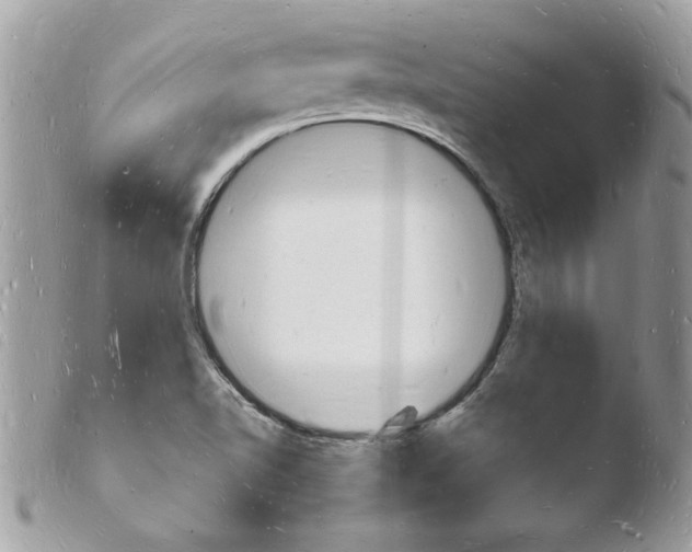 X0000103971510200810171913