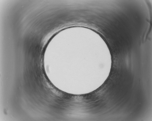 X0000103971511200810171913