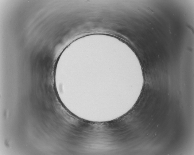 X0000103971512200810171913