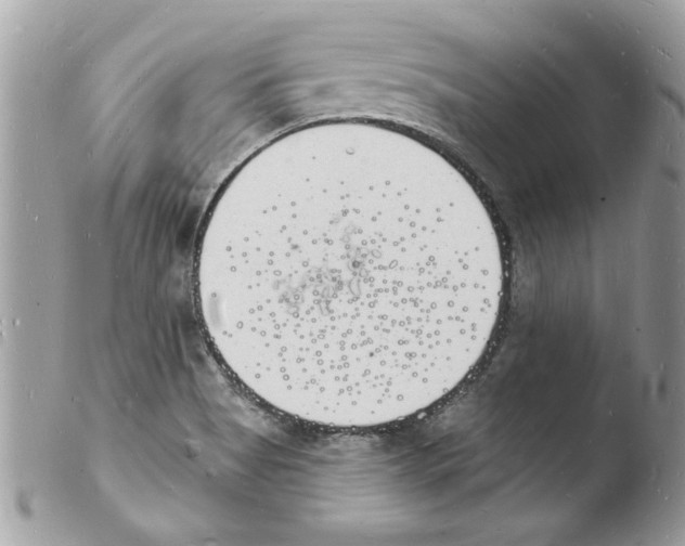 X0000103971513200810171913